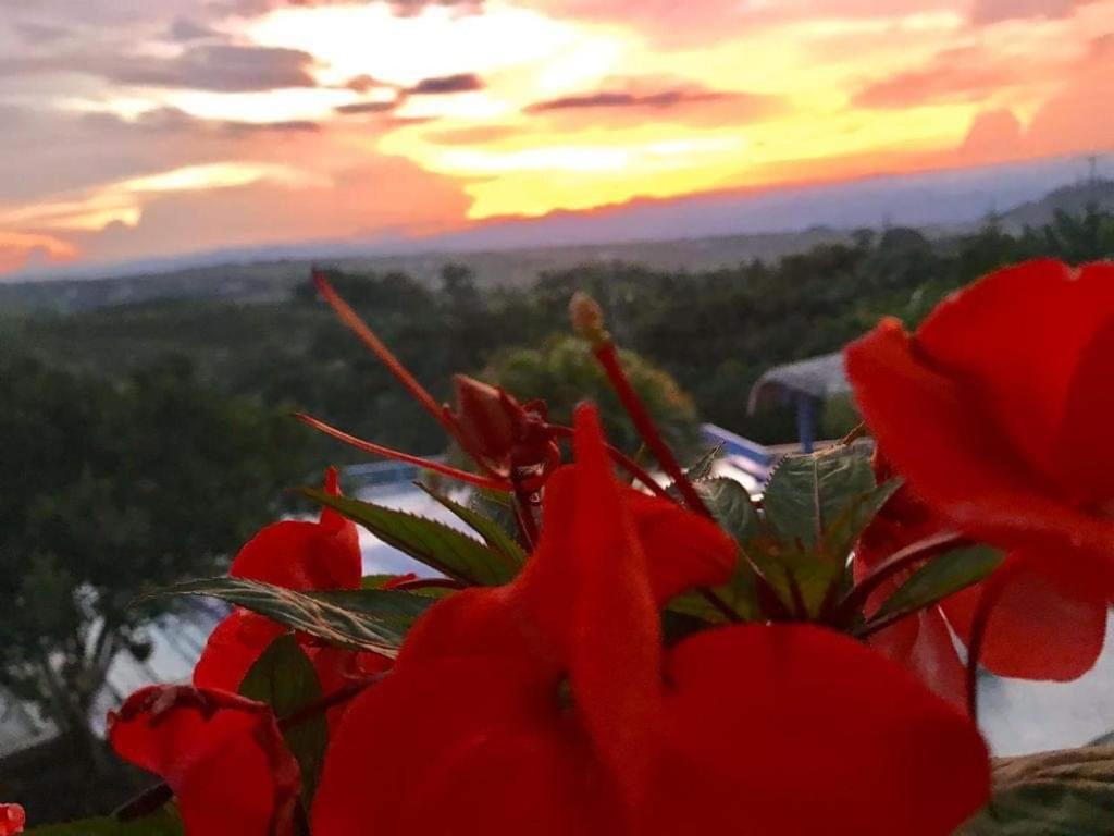 Hotel Casa Natura Pereira Ngoại thất bức ảnh